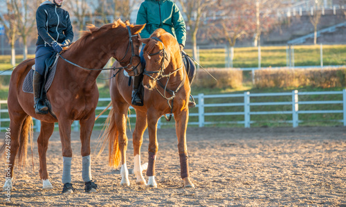 Fotografie, Obraz riding lessons, useful skill, horse therapy