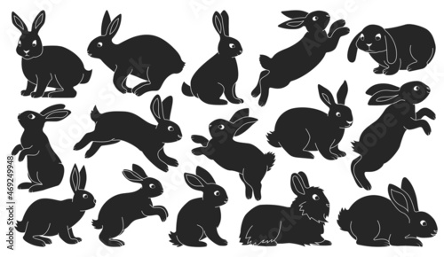 Rabbit vector black set icon. Isolated black set icon animal.Vector illustration rabbit on white background.