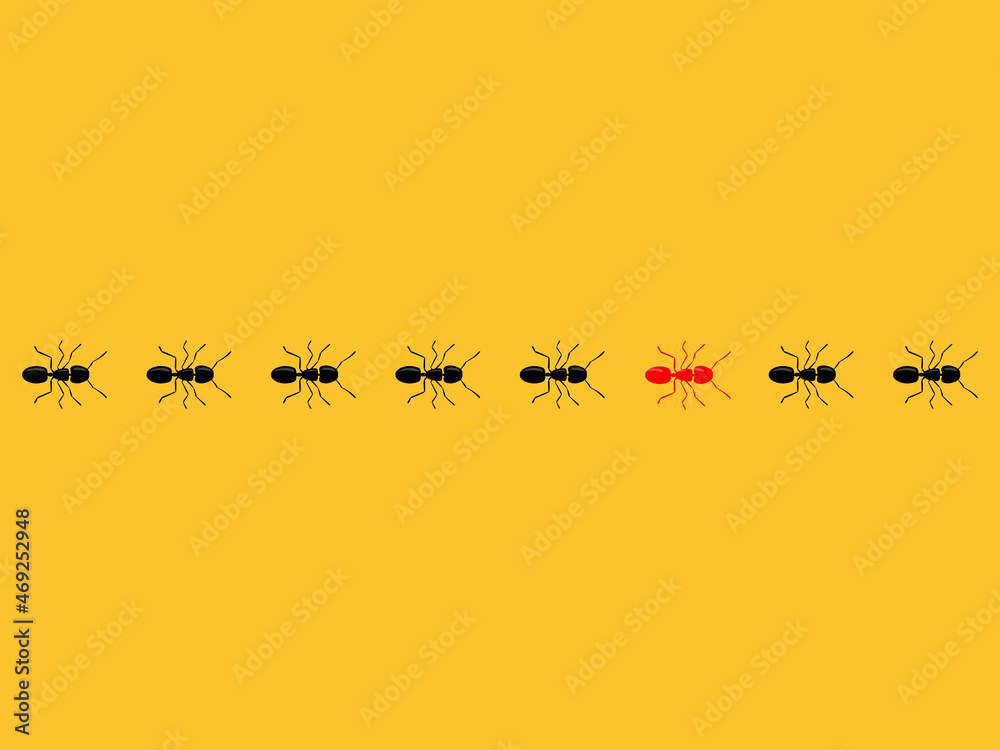 Aint trail. Think differently concept. Red ant going different with black ants. Aint trail. Think differently concept. Red ant going different with black ants.