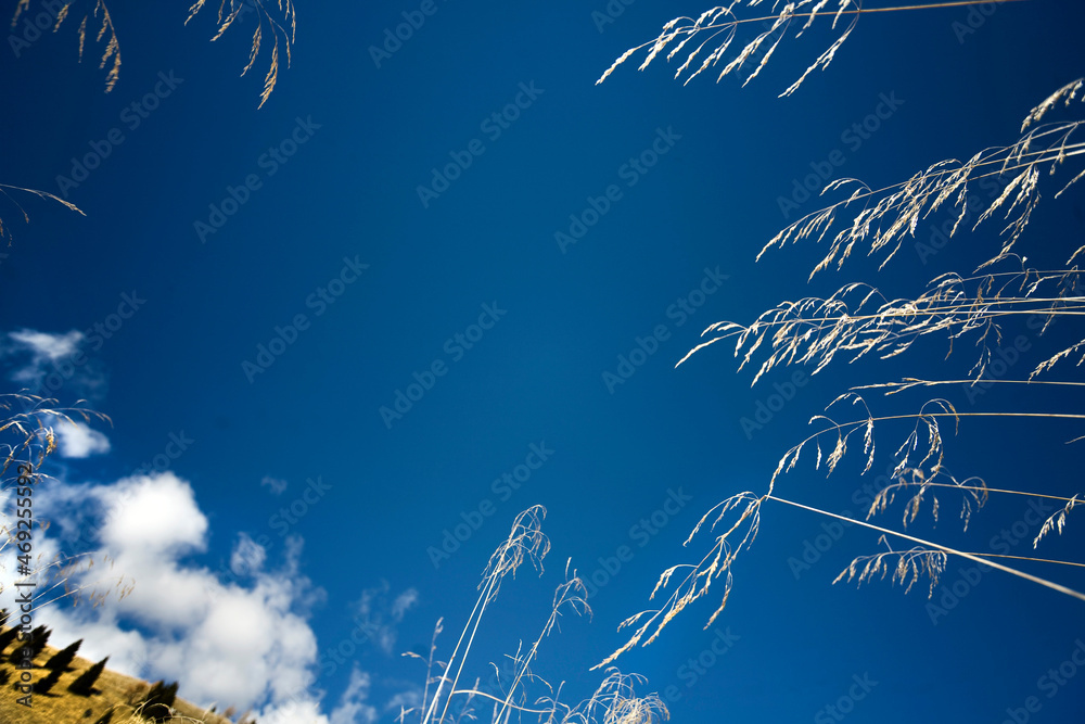 Fototapeta premium Sunny day on dolomites, autumn and foliage