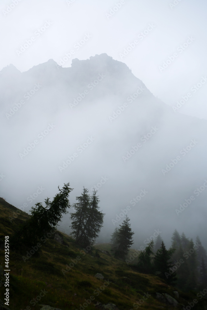 foggy day on dolomites,  trees and peaks