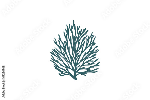 Fototapeta Naklejka Na Ścianę i Meble -  icons, seaweed, corals, logos, neurons and algae with simple inspiration