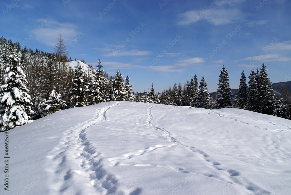 Winter mountain landscape, Tatra Mountains, Poland