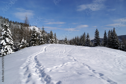 Winter mountain landscape, Tatra Mountains, Poland © MateuszKuca