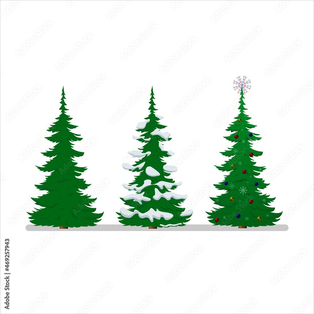 Set of realistic vector illustrations of green Christmas tree isolated on white background.