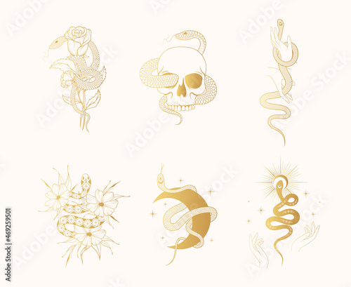 Hand drawn set of six golden snake prints. Gold celestial floral serpents collection for t-shirt design, fabric, cards and covers.