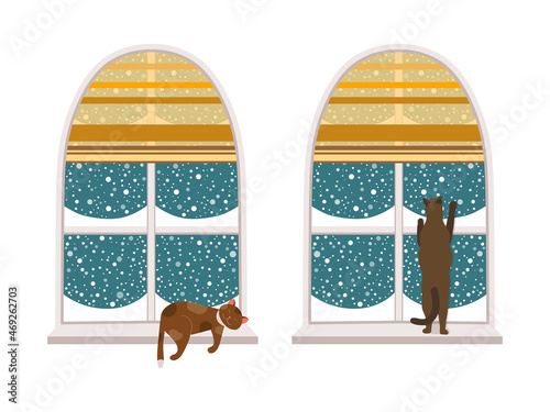 Winter Cats Looking at Window on Snowfall