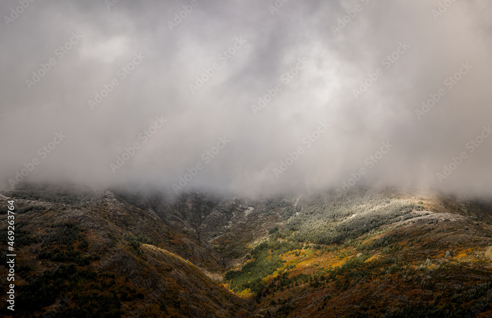 Landscape of beech forest on mountain with fog in autumn, with snow on top of mountain, in Tejera Negra, Cantalojas, Guadalajara, Spain