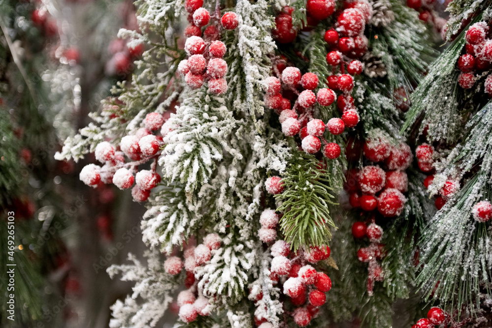 christmas garlands of fir with snow