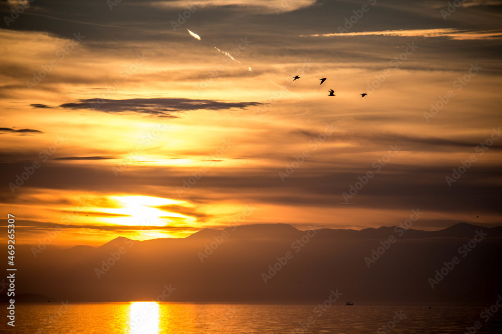 Fototapeta premium sunset over the sea