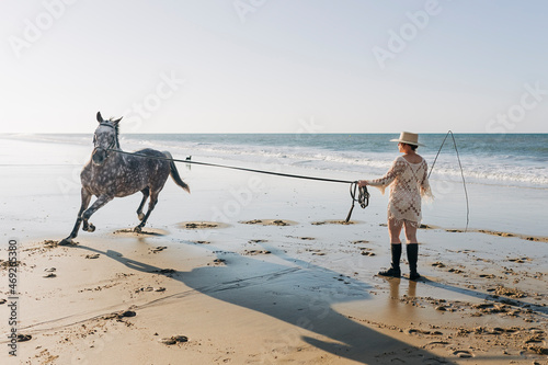 Horse running around pregnant woman with whip at beach photo