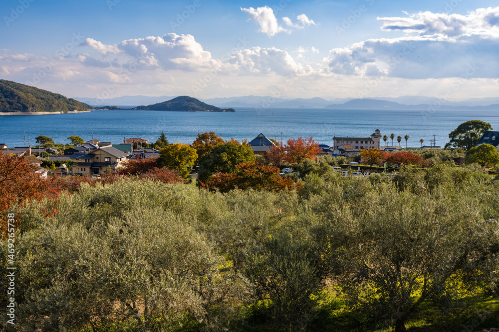 【香川県】オリーブ公園からみる小豆島の風景