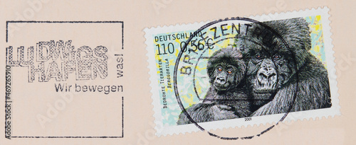 briefmarke stamp vintage retro alt old used gebraucht frankiert gestmpelt cancel gorilla affe slogan werbung bedrohte tierarten berggorilla mutter kind mother child ludwigshafen wir bewegen was photo