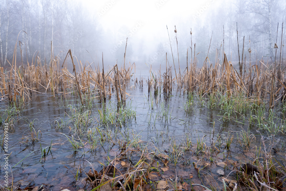 Obraz premium The lake is gradually freezing. The first autumn frosts.