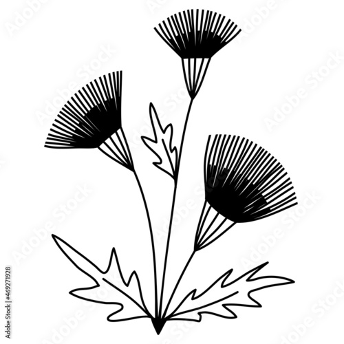 Fotografering Arctium lappa burdock flower line. Simple image of a flower with