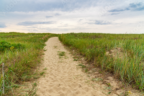 A sandy path among the grass leading to the seashore.