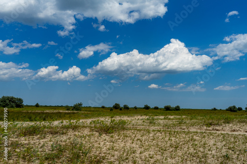 Different views from Caraorman forest,  Danube Delta area,  Romania,  in a summer sunny day
