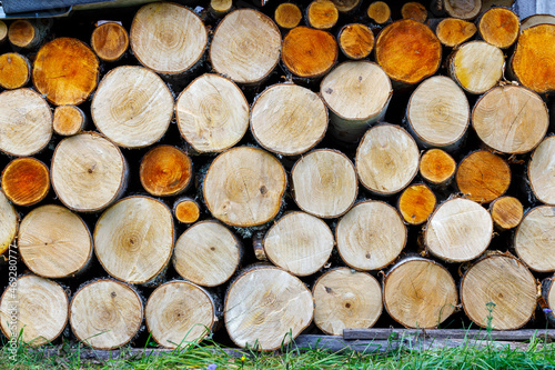 Background of stacked firewood close-up.
