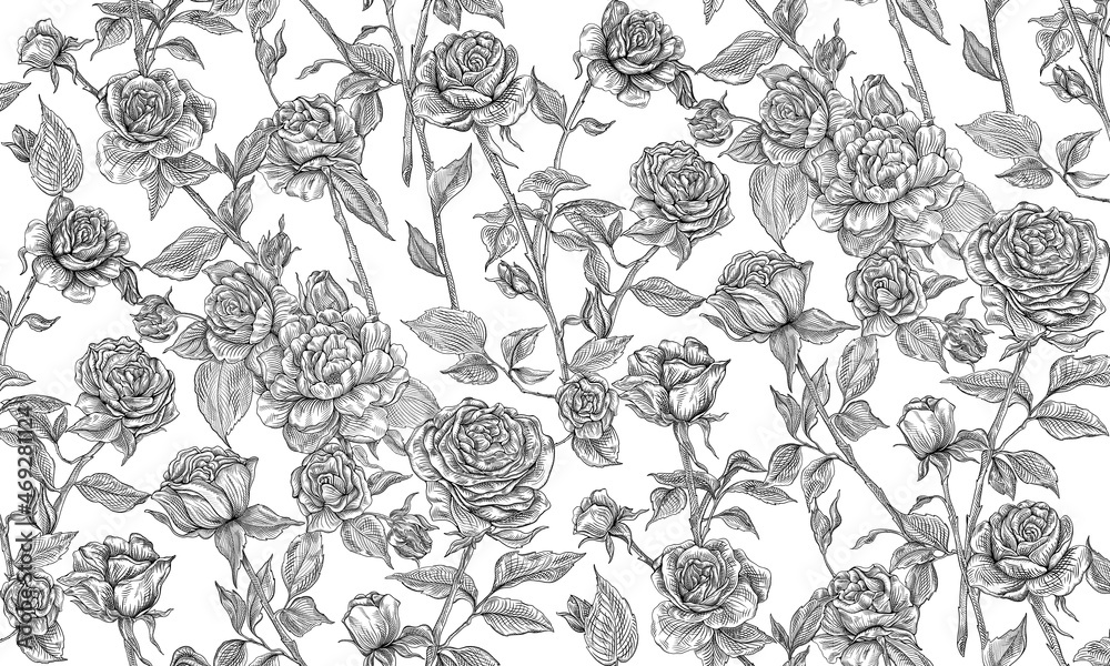 Pencil drawing of roses on a white background. Isolated sketch. Seamless floral pattern with roses. Texture background for creativity and advertising.