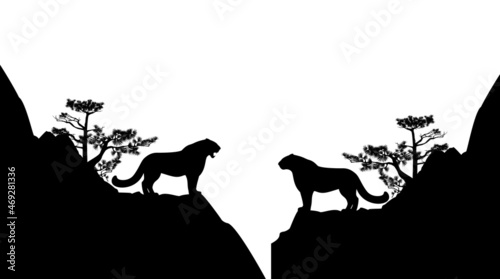 wild snow leopard standing on pine tree covered rock cliff - black and white vector silhouette scene with irbis cat