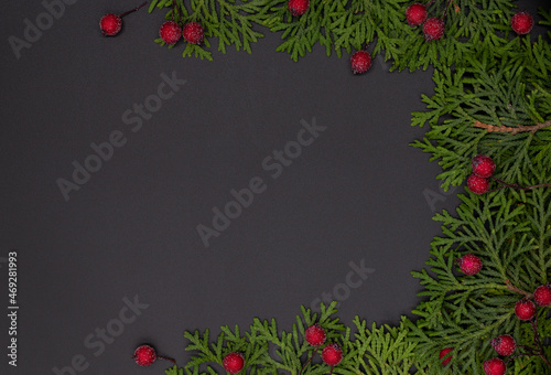 Christmas template for postcard or advertising banner, with blank space for text, fir branches and red berries on black background, flat lay top view