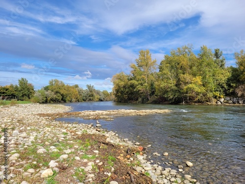 river in the forest