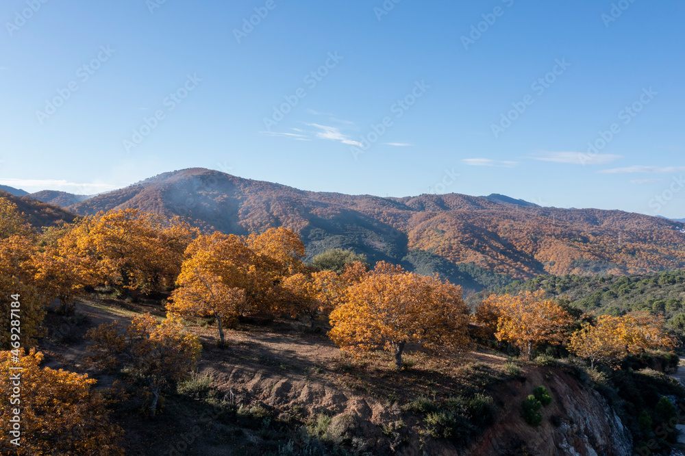 vista aérea del bosque de cobre en el valle del Genal, Andalucía