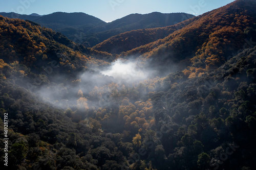 vista aérea del bosque de cobre en el valle del Genal, Andalucía	 photo