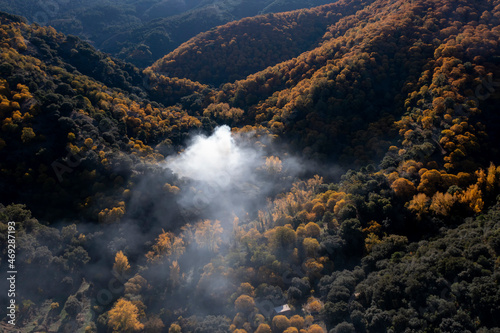 vista aérea del bosque de cobre en el valle del Genal, Andalucía  © Antonio ciero