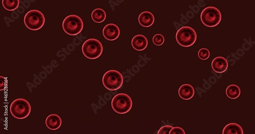 Animation of red blood cells moving on dark background photo