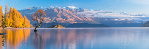 ニュージーランド　オタゴ地方の早朝のワナカ湖の湖畔の紅葉で黄色に染まった木々と湖内に立つワナカ・ツリーと後ろに見える南アルプス山脈 photo