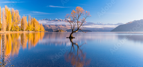 ニュージーランド オタゴ地方の早朝のワナカ湖の湖畔の紅葉で黄色に染まった木々と湖内に立つワナカ・ツリーと後ろに見える南アルプス山脈 