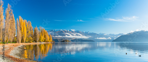 ニュージーランド オタゴ地方のワナカ湖の湖畔の紅葉で黄色に染まった木々と南アルプス山脈のアルタ山