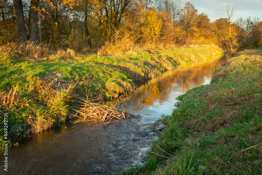 A small river lit by the sun on an autumn day, Uherka, Poland A small river lit by the sun on an autumn day, Uherka, Poland
