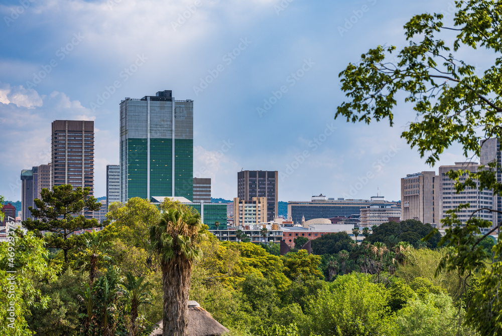 View of Pretoria city through trees during a summer afternoon