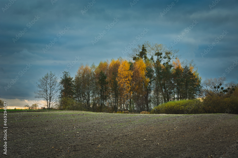 Fototapeta premium Plowed field and autumn trees on a cloudy day