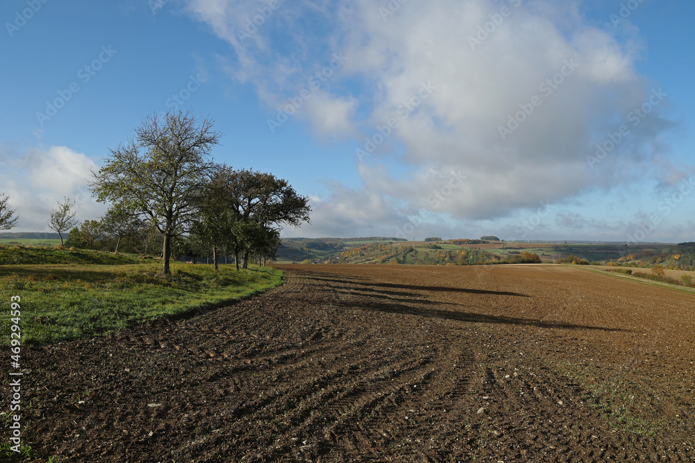Autumn landscape with fields and meadows on a clear day