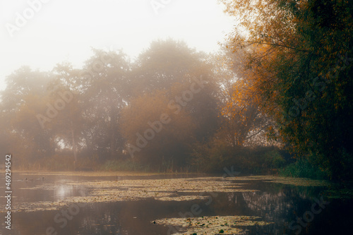 Foggy autumn morning over the lake