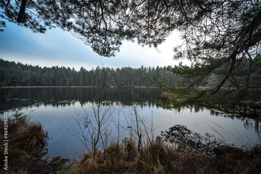 Fototapeta premium reflection in the lake