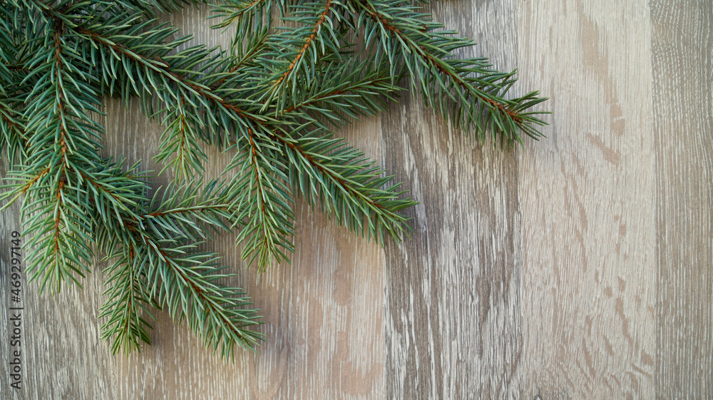christmas tree branches christmas tree branches