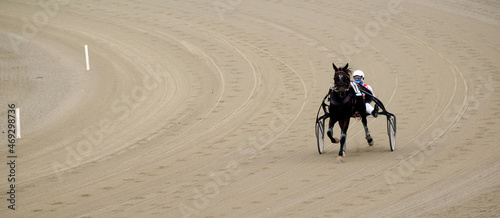 Konstfotografi Banner horse at trot with sulky and driver