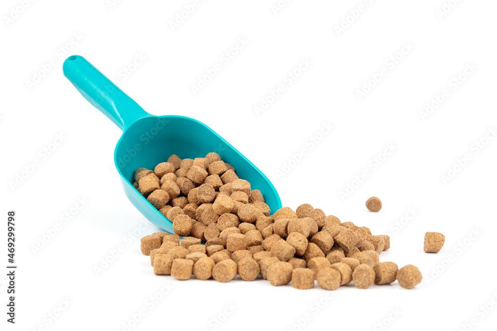 Delicious dog food of quality food, delicious and healthy