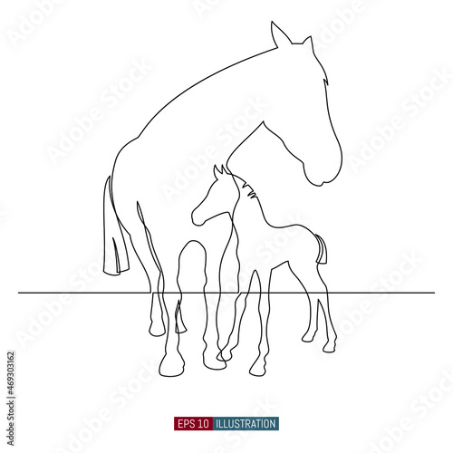 Continuous line drawing of The mare and her foal. Template for your design. Vector illustration.