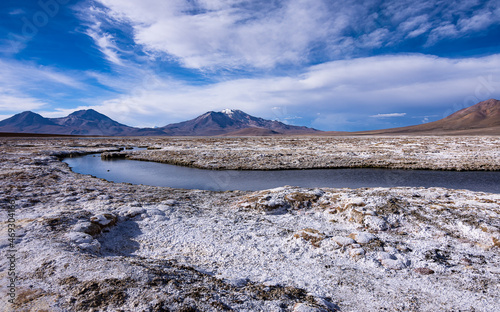 Colores del Salar de Surire. Altiplano chileno, región de Arica y Parinacota. photo