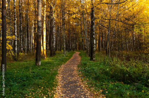 path in the autumn park © Semiglass
