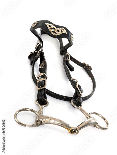 snaffle bridle in studio