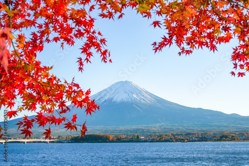 山梨県河口湖からの富士山と紅葉 © Kazu8