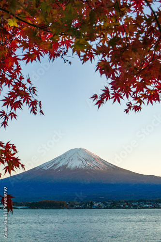 山梨県河口湖からの紅葉と富士山 © Kazu8