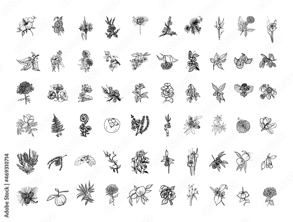 Collection of monochrome illustrations of japanese plants in sketch style. Hand drawings in art ink style. Black and white graphics. - obrazy, fototapety, plakaty 