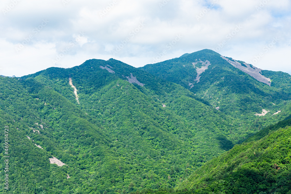 Obraz premium 夏の山